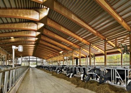 Η νέα νομοθεσία για τις κτηνοτροφικές εγκαταστάσεις 