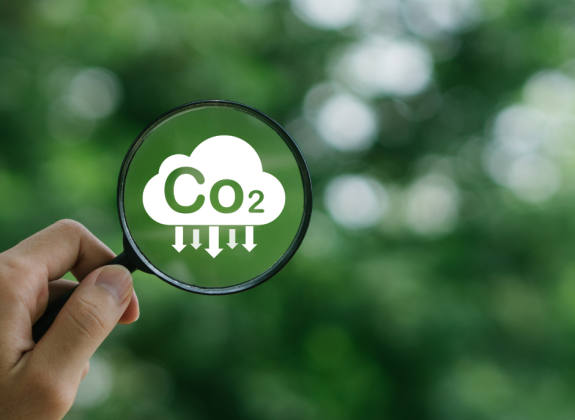 Eco-costs calculations on wood